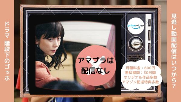 ドラマ 階段下のゴッホ 配信アマプラ無料視聴